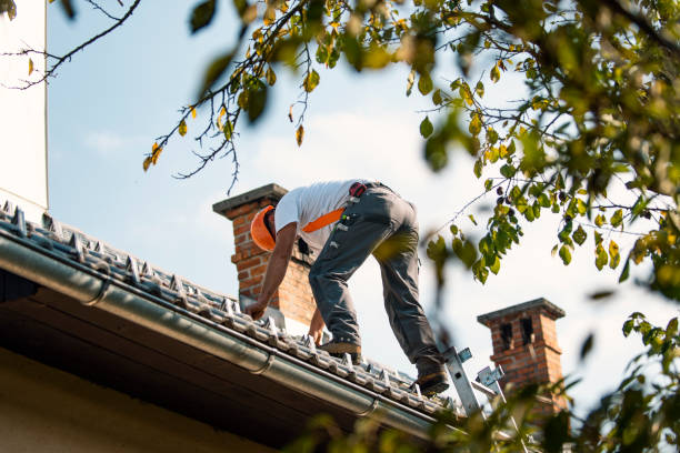 Best Residential Roof Replacement  in New Berlinville, PA