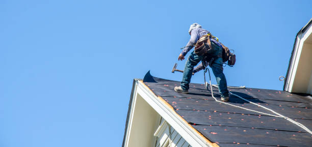 Best Roof Repair Services  in New Berlinville, PA
